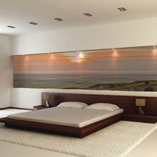Murals
