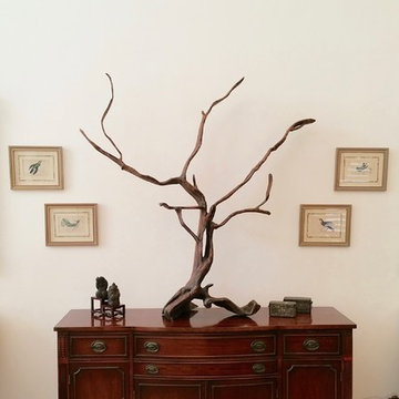 Collection Home