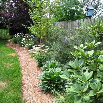 Backyard Renovation
