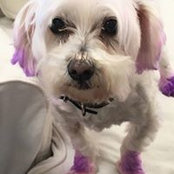 Tina Woolston's photo