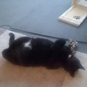 Manuela Stellmann's photo