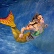 Lisa Duffy's photo