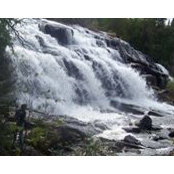 Katy Blackhall's photo