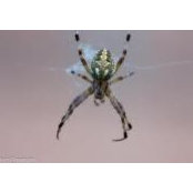 Mario Tarandek's photo