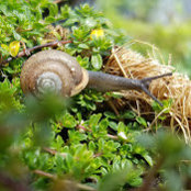 Foto de Simplify Life
