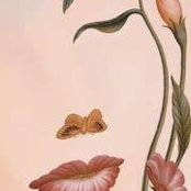 Rania Al Gayyar's photo
