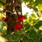 Katherine Thomas's photo