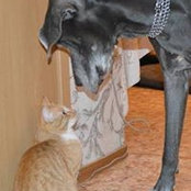 Maria Efimova's photo