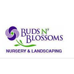 Buds N' Blossoms Nursery