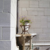 Carole Rains's photo