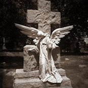 Jennifer Harrington's photo