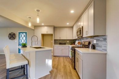 Example of a minimalist kitchen design in San Diego