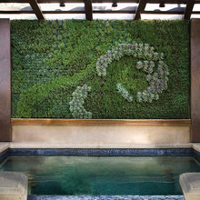 Living Wall