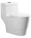 Dual-Flush Elongated 1-Piece Toilet With Soft-Closing Seat