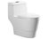 Dual-Flush Elongated 1-Piece Toilet With Soft-Closing Seat