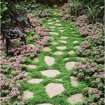 Landscape Projects