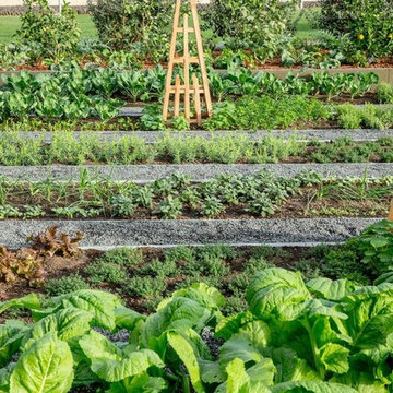 STEM Kitchen and Garden in San Francisco