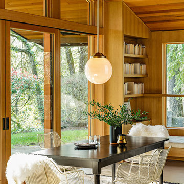Rejuvenation Lighting