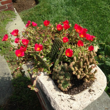 container gardens