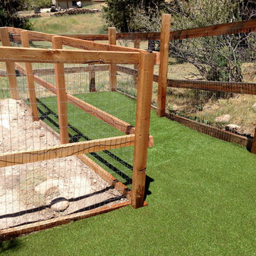 Dog Run