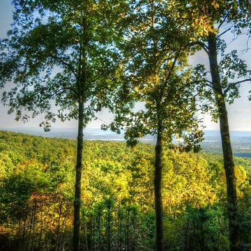 219 Pine Hill Road Fairfield Bay AR 72088