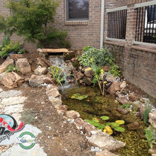 Backyard Ponds