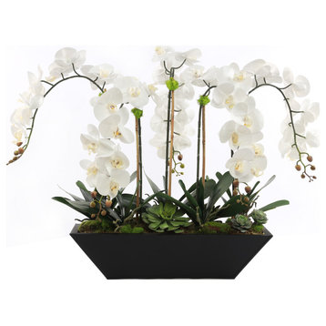 Cream White Real Touch Phalaenopsis Orchids in Modern Black Pot