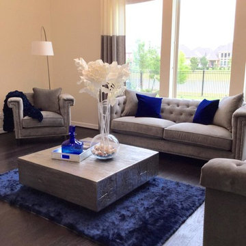 Transitional Houston, TX Home