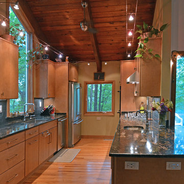 Contemporary Shoreline Remodel
