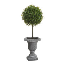 Topiaries