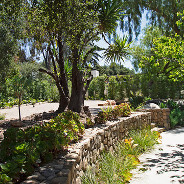 New 1-Year-Old Garden