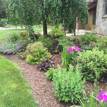 front yard