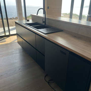 Double Sink Workstation & Integrated Under-Counter Dishwasher Cabinet Detail