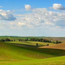 PALOUSE ROLLING HILLS C - Home Decor