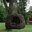 Dreamweaver Nests