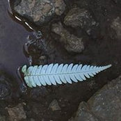 Paul Treves's photo