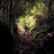 Todd Belsick's photo