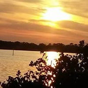 Sandra Mosley's photo