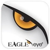 Eagle Eyes foto
