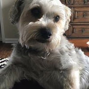 Nancy Davis-Pope's photo