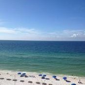 Stephanie Carmichael's photo