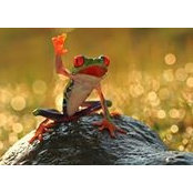 Edd Parsons's photo