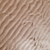 Lisa Harriss's photo