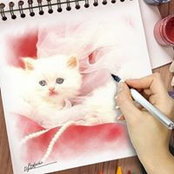 Riham Ragab's photo
