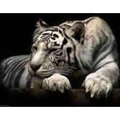 Josephine Agius's photo