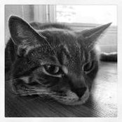 Anna Hoye's photo