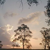 Cheryl Bennett's photo