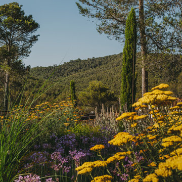 Jardín Olivella