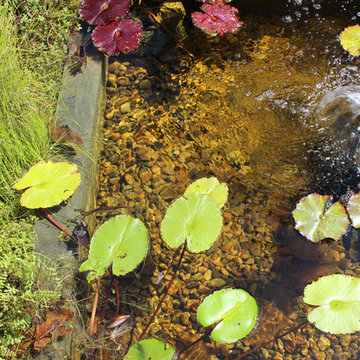Pond at Entry Way