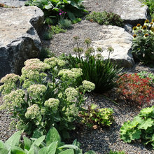 outdoor ideas